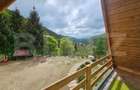 Cabana autentica cu 4565 mp teren, Liniste si Confort, Avram Iancu - 3