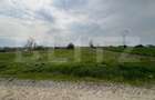Teren de vanzare, 3800 mp, zona Isalnita