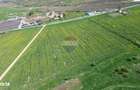 Teren de vanzare sau inchiriat 19ha intravilan, Agnita,Sibiu - 2