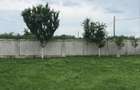 Casa de vanzare Lehliu-Gara, sat Razvani. - 4