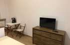 Apartament Studio str Dr Victor Babes chiar langa Universitate - 2