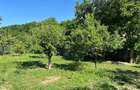 Casa Sat Scurta Bacau - 9