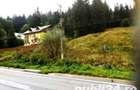 teren Predeal, intravilan, 10.000 mp - 4