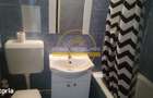 Apartament 1 Camera Decomandat Lidl Nicolina - 5