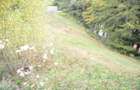 Busteni-Teren de vanzare cu o panorama superba - 8