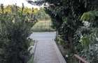 Apartament 2 camere de vanzare , cartierul verde Bragadiru - 1