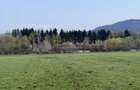 Teren intravilan, 7838 mp, cu priveli?te superba spre m... - 11