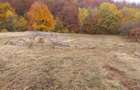 Tere de vanzare in sat Damis com Bratca - 2