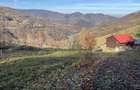 Teren de 5500 mp, în Muntele Rece - 4