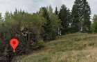 Oportunitate de investi?iea la lacul Colibita Marea de la Munte - 3