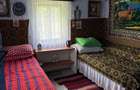 Casa la tara de vanzare in Tarnava, Teleorman locuibila, teren, foisor, hidrofor, 1500mp - 7