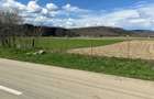 casa noua teren 3100mp judetul Neamt Piatra Soimului Roznov Savinesti libera direct proprietar fara comision toate actele pregatite pentru vanzare - 1