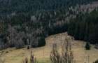 Teren intravilan 6.260 mp Vidra Alba langa Arie? | utilita?i | se poate impar?i - 3