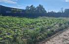 Teren agricol 1000mp, acces asfaltat, 35.000 EUR - 8