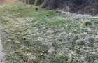 Teren intravilan de vanzare - 4