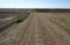 Teren extravilna Cota parte 1/16, CObadin, ID: R2782865 - 5