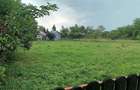 Teren Intravilan de vanzare Baicoi, zona LIiliesti - 1