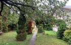 Casa 3 cam, teren 525 mp, livada de ciresi si nuci