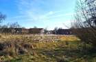 Casa de caramida in Tela si Teren Generos de 4320 mp - 15