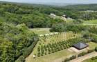 Glamping, piscicultura ?i turism spiritual - totul intr-un singur loc - 19