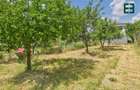 Casă 4 camere - Zona Buziașului - Timișoara - 8