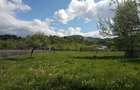 Teren intravilan la munte, in Nereju, Vrancea - 1