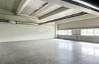 Spatiu industrial 700 mp de inchiriat in zona Oncea Oradea - 8