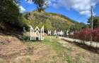 Teren intravilan de vanzare | Rau Sadului | 800 mp