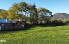Vindem teren in Bucovina 7561 mp