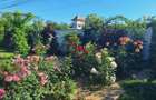 Vila individuala Priseaca Targoviste - 1
