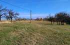 Casa Valea tarnei 8 hectare p mant - 2