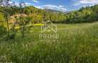 Teren de vanzare | 12 259mp | - 6