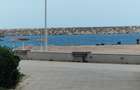 TEREN LA BUZA MARİİ - 5