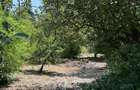 Casa de vanzare la ?ara locuin?a pregatita pentru mutare imediata! - 3
