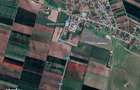 De vanzare teren 2 ha extravilan Silistea jud. Braila - 2 parcele 1 ha - 1