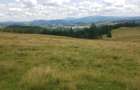 Vand 16 hectare de pasune