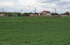 Teren langa padure si aproape utilitati,800 mp,36000 euro - 6