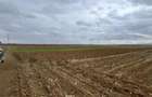 Teren extravilan 2500 mp,cu acces la Centura ,Radauti - 1