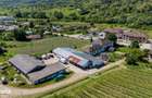 Crama Premium De Vanzare -60 Ha- Conac Istoric- Podgoria Dragasani