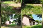 Teren 1575 mp si anexa locuibila in Aprozi, jud. Calarasi (40 km de Bucuresti) - 4