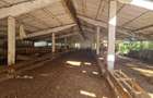 Hala din beton + teren 2.596 mp Jichisu de Jos - 3
