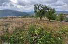 Teren intravilan Tomesti , 463 metri Cod:162884 - 2