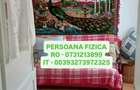 Teren + 2 Imobile - 1094 m2 in sat Barati, comuna Margineni, Bacau - 7