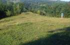 Vânzare teren 10 ha lângă padure Varbilau - 5
