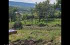 Teren Tomesti-Chicerea Urgent - 7