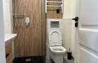 studio modern consul brazda de inchiriat - 10
