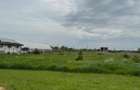 Vanzare Teren 1 Decembrie 650mp - 1