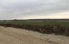Balotesti Albinelor 450mp 15900 euro - 3