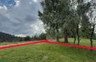 Proprietar vand teren Bran - 1
