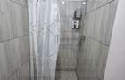 Studio la curte utilat complet cu terasa zona Lazaret - 9